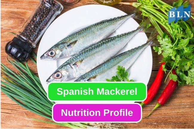 Spanish Mackerel Good Nutrition For Your Body